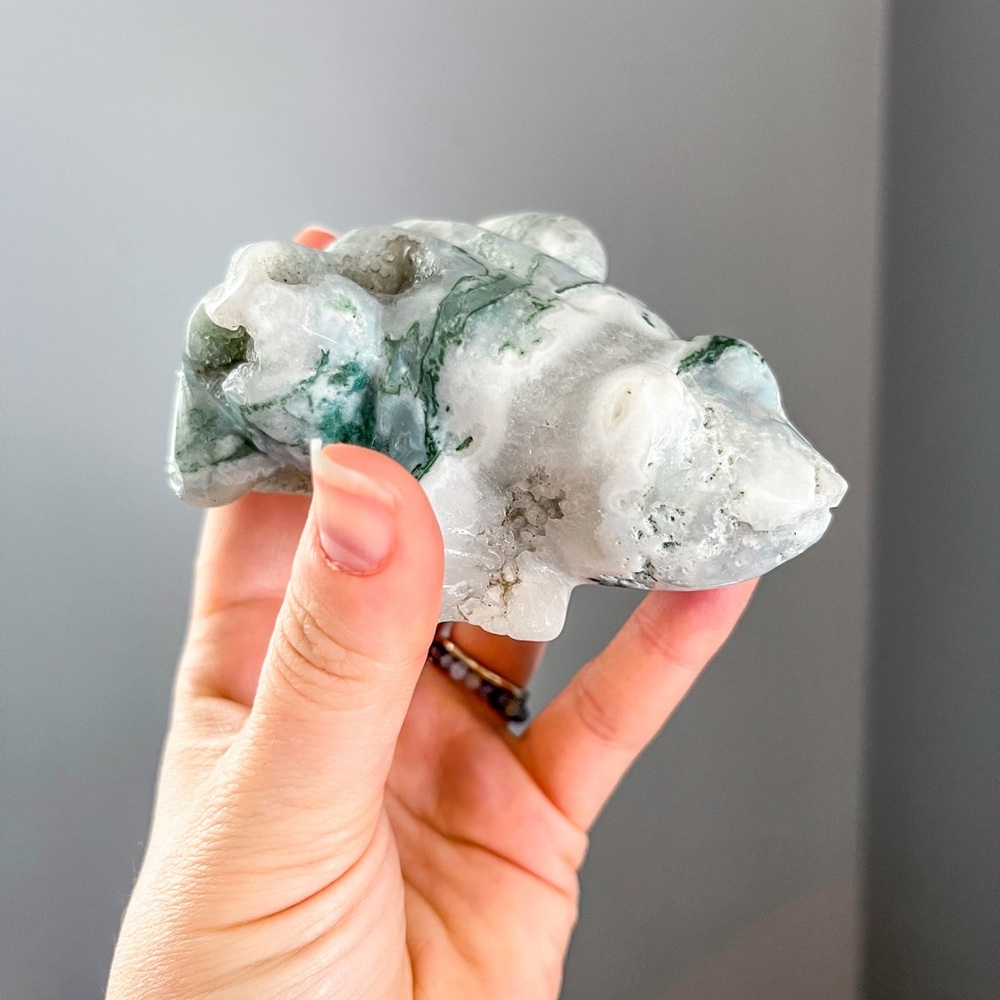 Moss agate frog